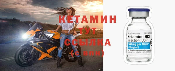прущие грибы Горно-Алтайск