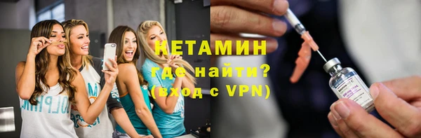 прущие грибы Горно-Алтайск