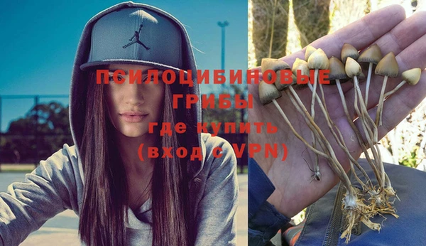 прущие грибы Горно-Алтайск