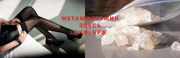 прущие грибы Горно-Алтайск