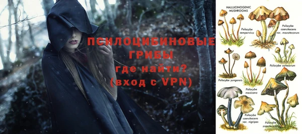 mix Горнозаводск