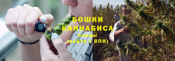 a pvp Горняк