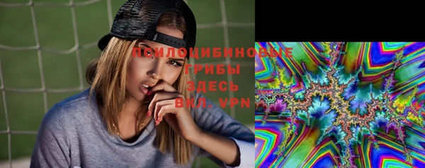 прущие грибы Горно-Алтайск