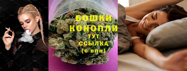 прущие грибы Горно-Алтайск