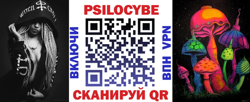 Псилоцибиновые грибы Psilocybine cubensis  Купить закладки  Княгинино 