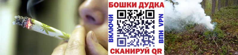 Бошки марихуана OG Kush  Купить закладки  Княгинино 